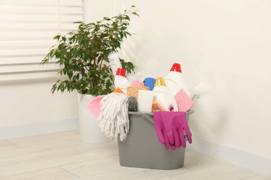 Kovadaki farklı temizlik ürünleri ve evdeki yeşil bitkiler.