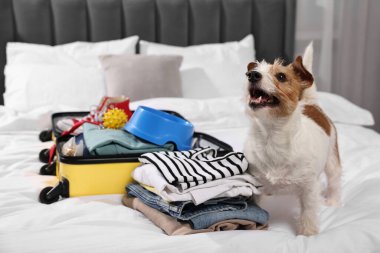 Evcil hayvanla seyahat et. Köpek, kıyafet ve bavul yatağın içinde.