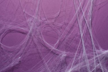 Menekşe arkaplanda asılı ürkütücü beyaz örümcek ağı