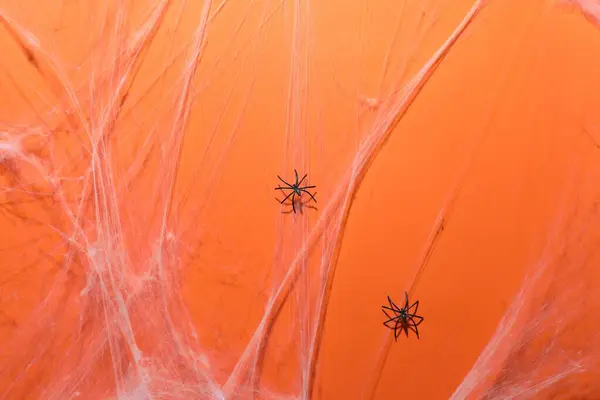 橙色背景的蜘蛛网和蜘蛛 顶视图 — 图库照片