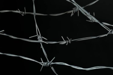 Siyah arkaplanda parlak metal dikenli tel