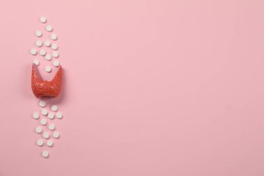 Endokrinoloji, haplar ve tiroit bezinin modeli pembe arka planda, üst tarafta. Metin için boşluk