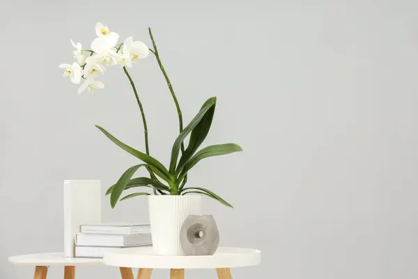Blooming white orchid flower in pot, books and candle on nesting tables near grey wall indoors, space for text