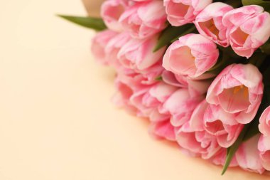 Bej arka planda taze pembe lalelerden oluşan güzel bir buket, yakın plan. Metin için boşluk