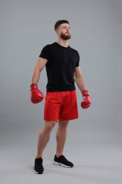 Gri arka planda boks eldivenli adam.