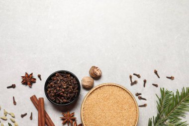 Farklı baharatlar kaselerde, fındıklar ve köknar dalları açık gri desenli masada, düz yerde. Metin için boşluk