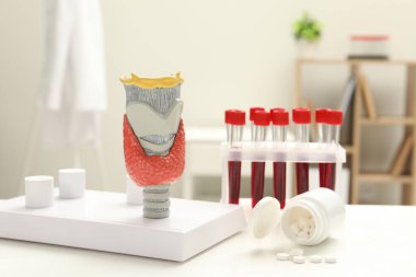 Endokrinoloji. Tiroid bezi modeli, ilaç şişesi ve klinikteki beyaz masada test tüplerinde kan örnekleri.