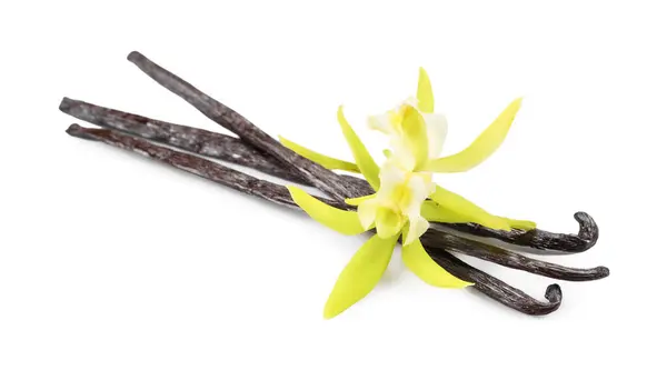 Vanilje Bælg Smukke Blomster Isoleret Hvid - Stock-foto