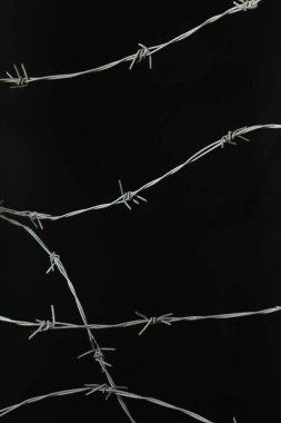 Siyah arkaplanda parlak metal dikenli tel