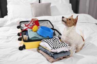 Evcil hayvanla seyahat et. Köpek, kıyafet ve bavul yatağın içinde.