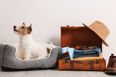 Evcil hayvanla seyahat et. Köpek, giysi, pasaport, bilet ve bavul.