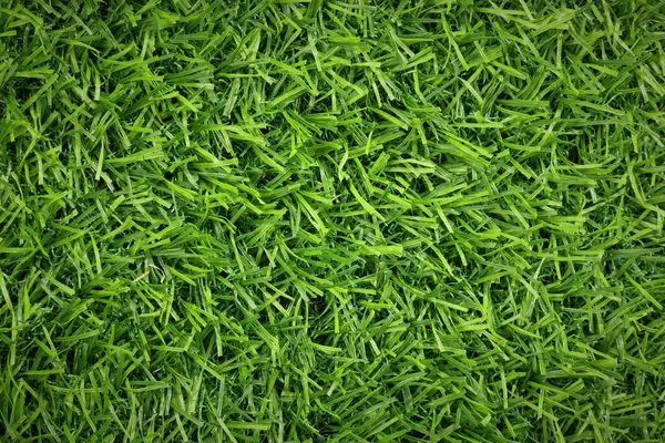 Świeża Zielona Trawa Jako Tło Zewnątrz Widok Góry — Zdjęcie stockowe