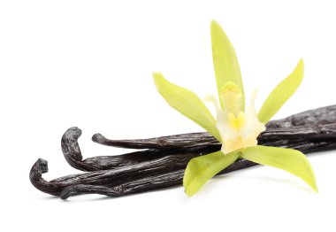 Vanilya kabukları ve güzel çiçekler beyazda izole edilmiş.