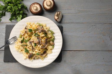 Mantarlı vejetaryen makarna, maydanoz, fasulye ve peynir gri ahşap masa, üst manzara. Metin için boşluk