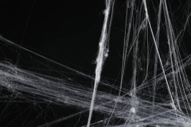 Siyah arkaplanda tüyler ürpertici beyaz örümcek ağı, yakın plan