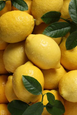 Arka planda su damlaları olan taze limonlar ve yeşil yapraklar.