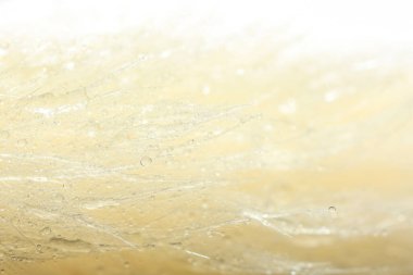 Arka planda su damlaları olan güzel çiçek, makro görünüm