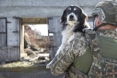 Ukraynalı asker sokak köpeğini kurtarıyor. Metin için boşluk