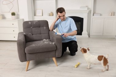 Hayvan tüyü. Tiftik silindirli bir adam evdeki koltuktan köpek tüyü alıyor.