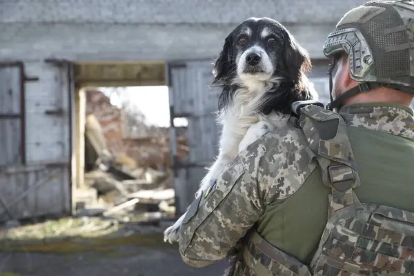 Ukrainian soldier rescuing stray dog outdoors, back view. Space for text