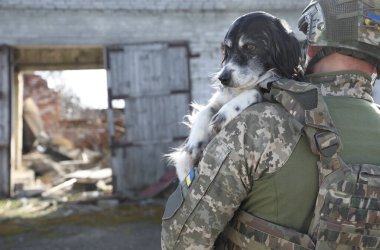 Ukraynalı asker sokak köpeğini kurtarıyor. Metin için boşluk