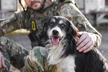 Ukraynalı asker sokak köpeğini okşuyor.
