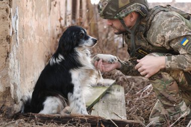 Sokak köpeği Ukraynalı askere patisini uzatıyor.