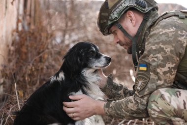 Ukraynalı asker korkmuş sokak köpeğini okşuyor.
