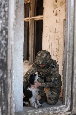 Terk edilmiş binada başıboş köpeği olan Ukraynalı asker.