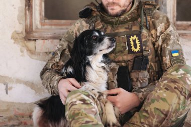 Terk edilmiş binada başıboş köpeği olan Ukraynalı asker, yakın plan.