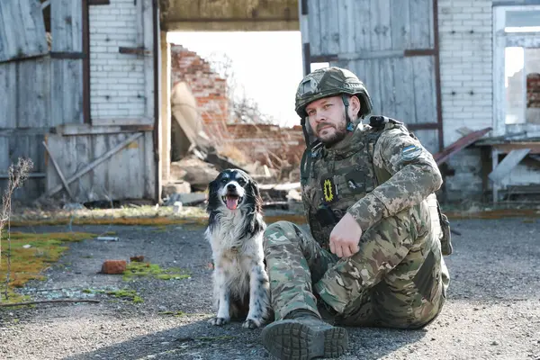 Ukrainian soldier with stray dog outdoors on sunny day