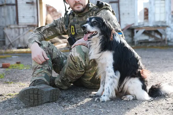 Ukrainian soldier with stray dog outdoors on sunny day, closeup