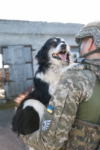 Ukrainian soldier rescuing stray dog outdoors, back view