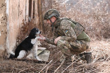 Sokak köpeği Ukraynalı askere patisini uzatıyor.