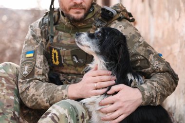 Ukraynalı asker sokak köpeğini kucaklıyor, yakın plan.