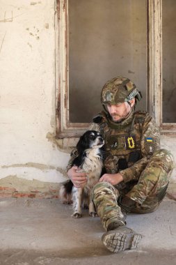 Terk edilmiş binada başıboş köpekle oturan Ukraynalı asker.