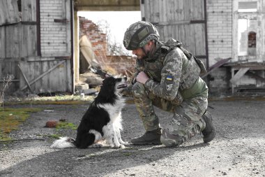 Güneşli bir günde başıboş köpeği olan Ukraynalı asker.