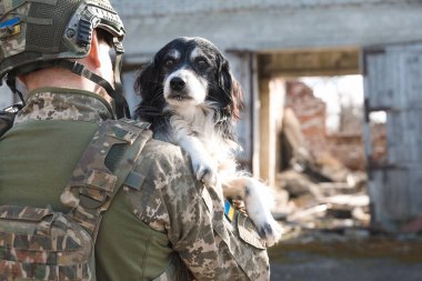 Ukraynalı asker sokak köpeğini kurtarıyor. Metin için boşluk