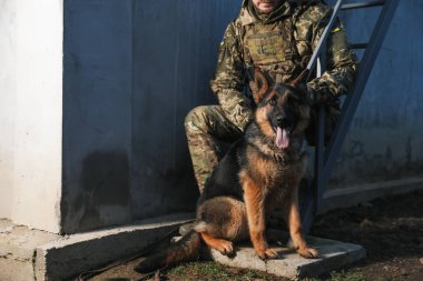 Alman çoban köpeği olan Ukraynalı asker dışarıda oturuyor, yakın plan. Metin için boşluk