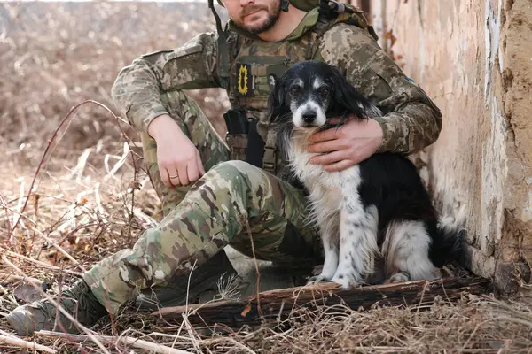Ukrainian soldier with stray dog sitting outdoors, closeup