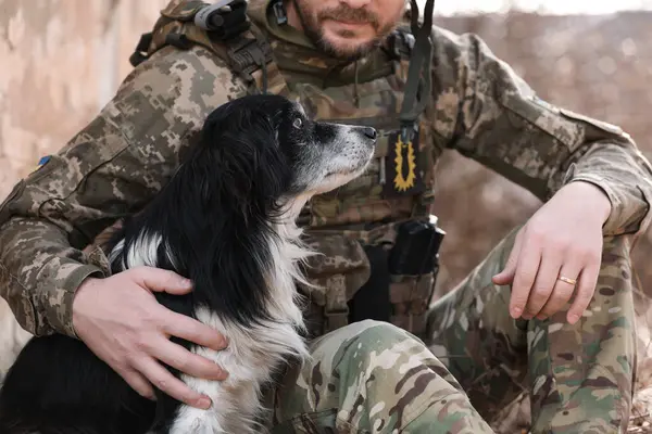 Ukrainian soldier with stray dog outdoors, closeup