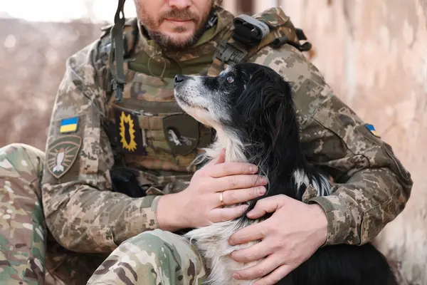 Ukrainian soldier hugging stray dog outdoors, closeup