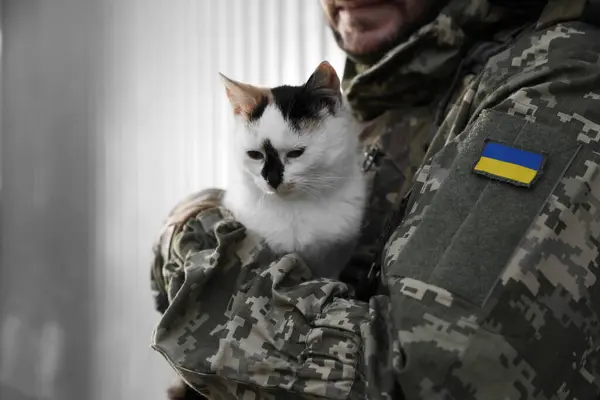Ukrainian soldier with stray cat against light background, closeup. Space for text