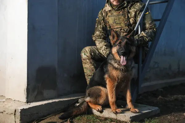 Ukrainian soldier with German shepherd dog sitting outdoors, closeup. Space for text