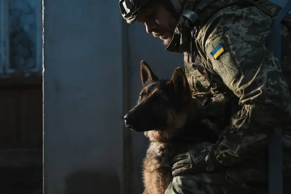 Ukrainian soldier with German shepherd dog near wall outdoors. Space for text