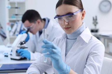 Laboratuvarda numunelerle çalışan bilim adamları. Tıbbi araştırma