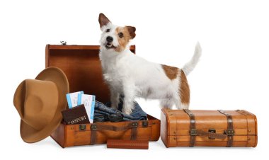 Evcil hayvanla seyahat et. Köpek, elbiseler ve bavullar beyaz arka planda