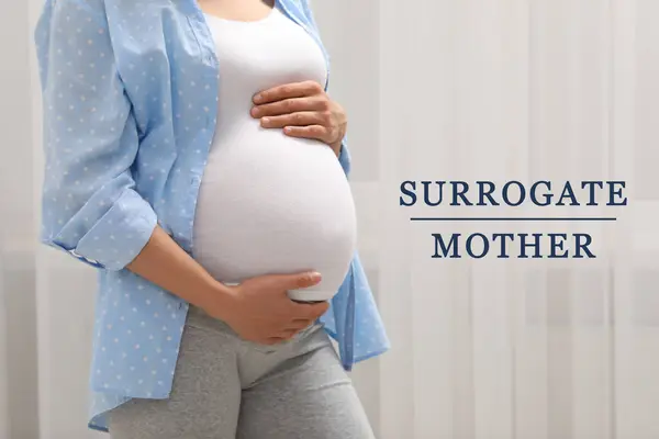 Surrogate Mother Pregnant Woman Touching Her Belly Indoors Closeup — Stock Photo, Image