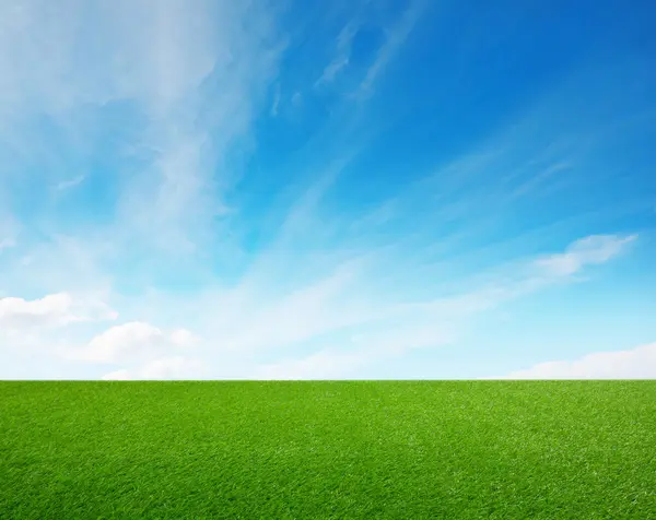 Зеленая Трава Голубым Небом — стоковое фото