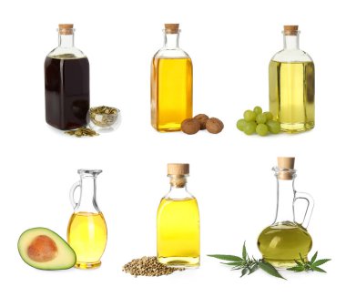 Sebze yağları. Farklı yemek yağları ve malzemeler beyaz ve sette izole edilmiş.